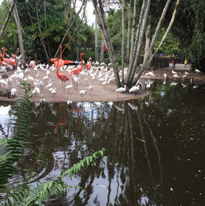 Meet your Posher, Chrismar